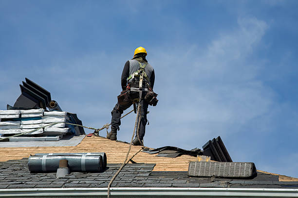 Professional Roofing technician working in Plato, MN